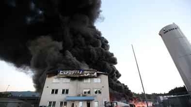 Arso: Prve analize vzorcev vode v Rakovem Škocjanu niso pokazale onesnaženja