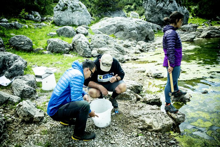 V sklopu projekta Vrh Julijcev bosta potekali dve fazi: najprej bodo izlovili pisanca, nato pride na vrsto še zlatovčica. | Foto: Ana Kovač