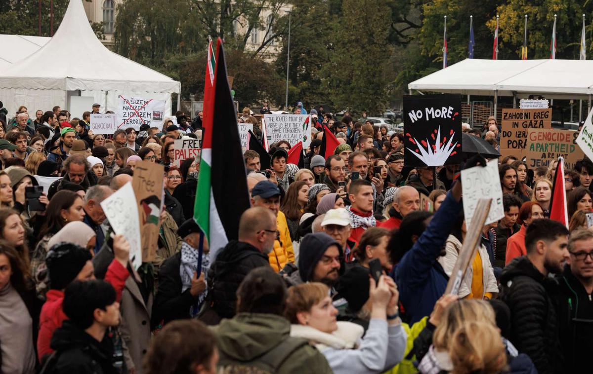 shod za Palestino, Lj. | Shod je potekal mirno.  | Foto STA
