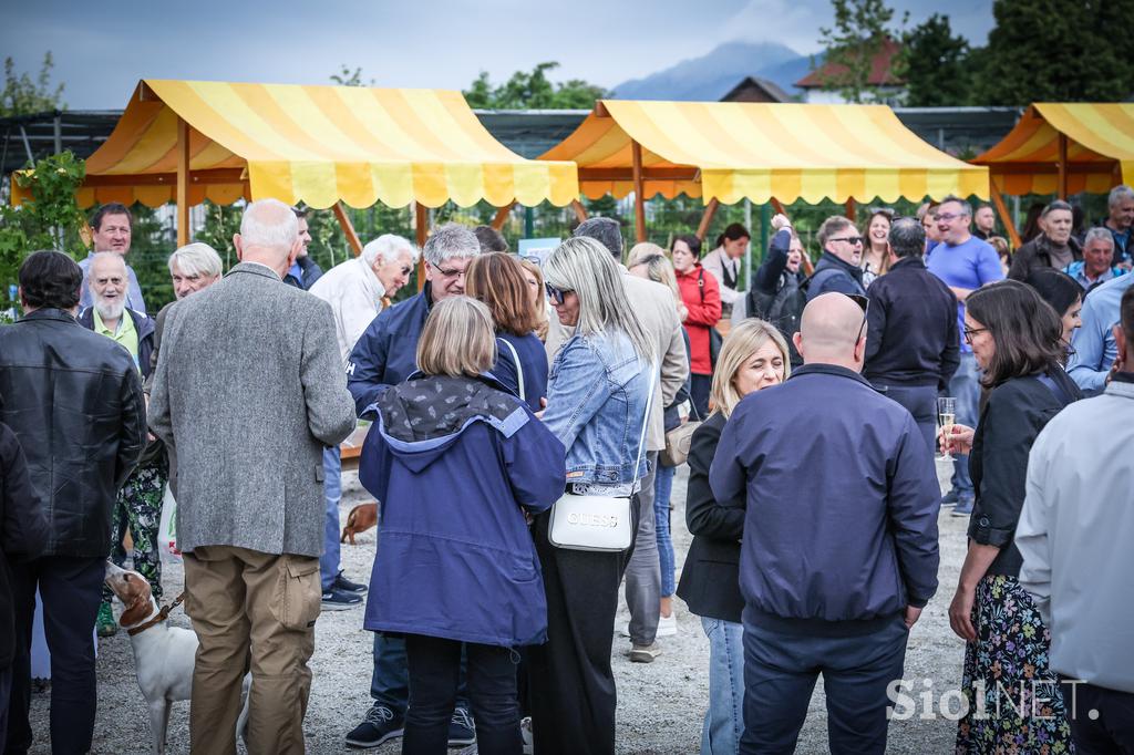Festival Svobode