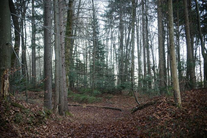 Jama je bila večkrat zasuta z zemljino in s kamenjem. Prvič takoj po pobojih, potem pa še večkrat. Vaščani povedo, da najmanj trikrat do leta 2004, potem pa vsaj še leta 2009 – o tem obstajajo uradni zapisniki. A voda dela svoje in posmrtni ostanki prihajajo na plan. | Foto: 