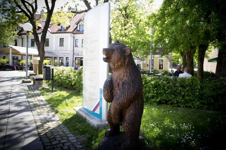 Ko ste v tem mestu, zagotovo vsaj enkrat pomislite na kočevskega medveda. | Foto: 
