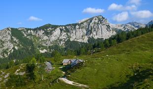 Pravljične Fužinske planine, a pozor na bike na paši #video