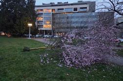 Poškodovanih več sto poslopij, na teren tudi Golob. Napoved tudi za danes ni obetavna.