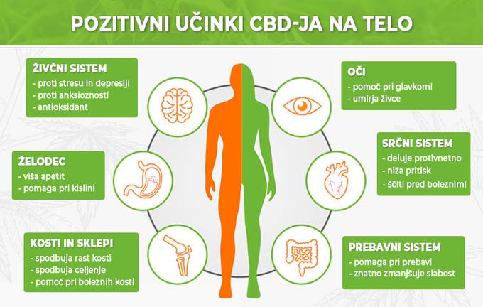 Številne študije – nekaj jih je bilo izvedenih tudi v Sloveniji – potrjujejo učinkovitost CBD-ja. | Foto: 