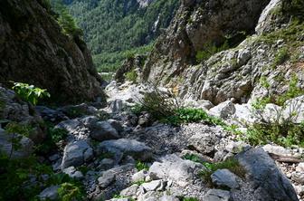 Priljubljena pot na Okrešelj je zaradi obnove zaprta