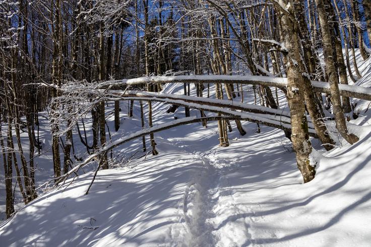 Od koče po nemarkirani poti krenemo še na Polno peč. | Foto: Matej Podgoršek