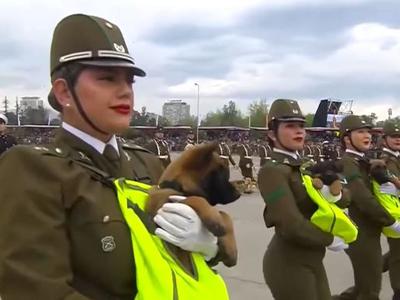 Ukradli so vso pozornost #video