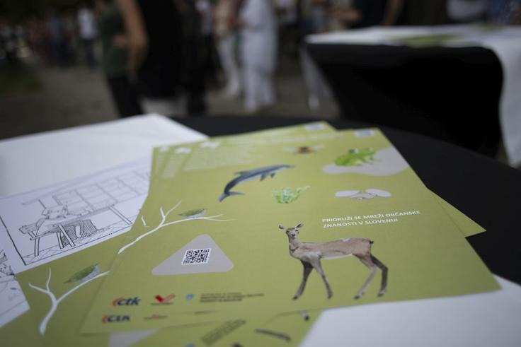 Občanski raziskovalec je lahko prav vsak, če ga le ženeta radovednost in želja po prispevanju k znanstvenim raziskavam. | Foto: Mreža občanske znanosti