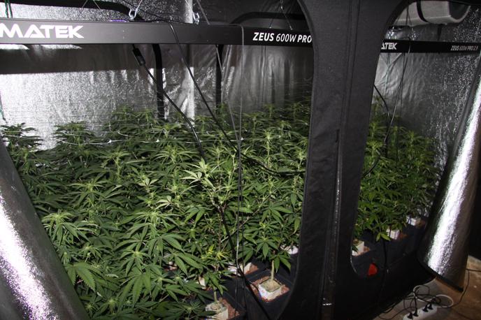 droge, zaseg, Trzin, sadike, pripomočki | Zasežene predmete so policisti zavarovali in jih poslali v nadaljnjo analizo. | Foto PU Ljubljana