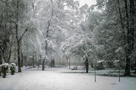 Sneg sneženje Ljubljana