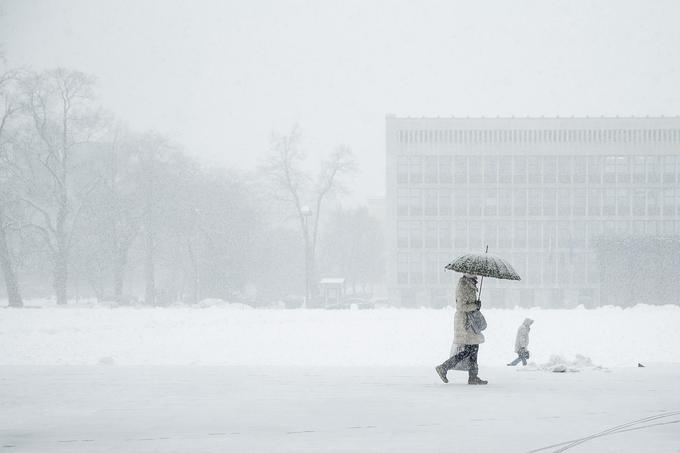 Sneg v Ljubljani. | Foto: Ana Kovač