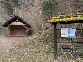 Kostanjevica na Krki, reka Studena