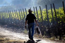 Kako so se vinskega posla lotili v Čilu