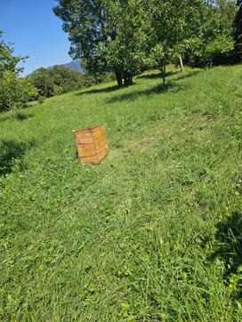 Čebelnjak medved razdejanje
