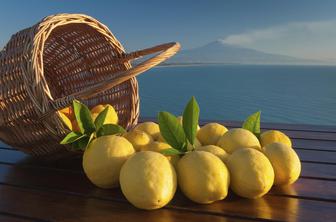 Neskončno uporabne limone – v piti, vodki ali v soli