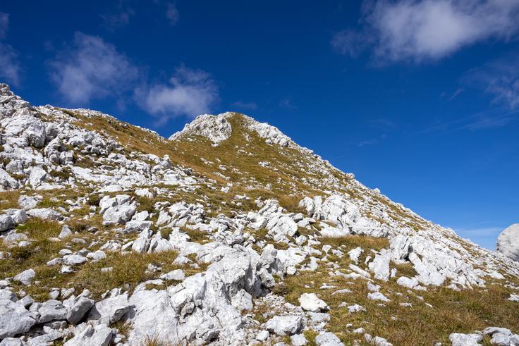 Brezpotje na Veliko Zelnarico. | Foto: Matej Podgoršek