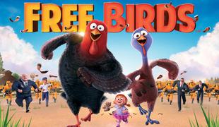 Purana na begu (Free Birds)