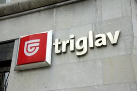 Skupina Triglav s 53,6 milijona evrov čistega dobička