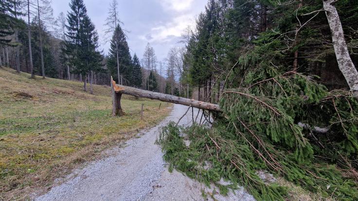 Cerkno | Foto: PGD Bukovo-Zakojca