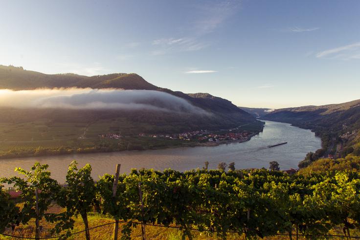 Wachau | Foto: Florian Schulte