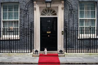 Maček Larry, britanski politik z najdaljšim stažem