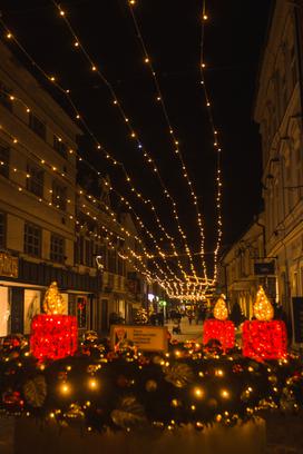 Celje Zavod Celeia