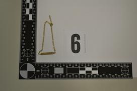 Zasežen nakit, Celje