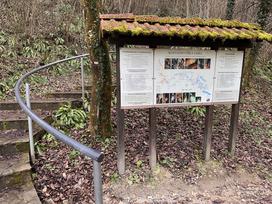 Kostanjevica na Krki, reka Studena