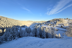 Ne veste, kaj početi ta konec tedna? Za vas imamo nekaj idej.