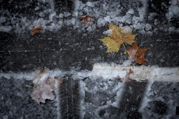 Ljubljano je pobelil prvi sneg. | Foto Ana Kovač