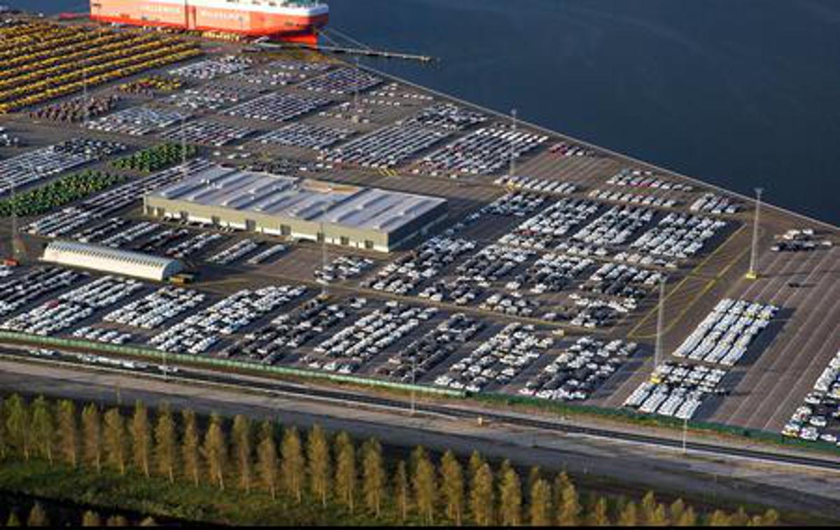 Zeebrugge parkirišče avtomobili | Foto Guliver Image