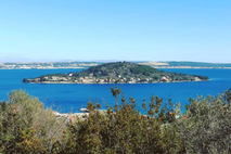ošljak