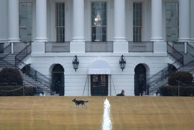 Tako sta uživala v prvih tednih na trati predsednikove rezidence. | Foto: Reuters