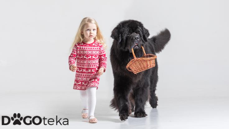 Dogoteka, novo 7 | Foto: 
