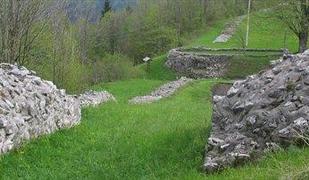 Pred Narodnim muzejem Slovenije brez cenzure o arheoloških parkih