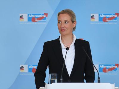 Skrb vzbujajoče napovedi vodje AfD: Ukinili bomo evro, zaprli meje in izstopili iz schengna