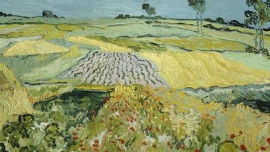 Aplikacija razkriva Van Goghove skrivnosti