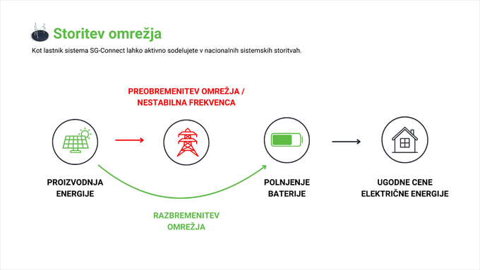 Storitev omrežja. | Foto: Ngen