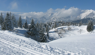 Velika planina? Kot bi tekel po razglednici.