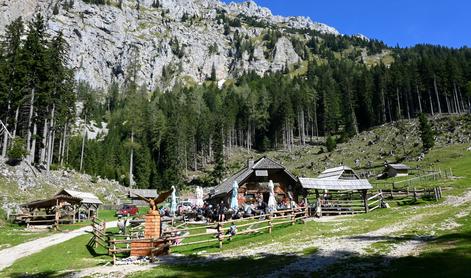 Na idilično planino Dolga njiva in še naprej, na samoten razglednik #video