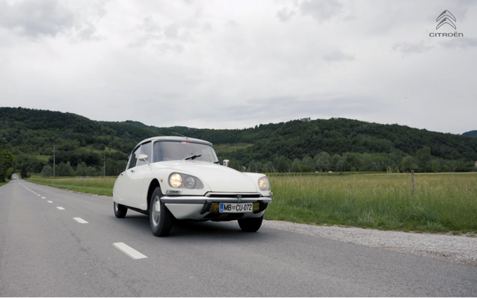 Citroen DS - žaba | Foto: 