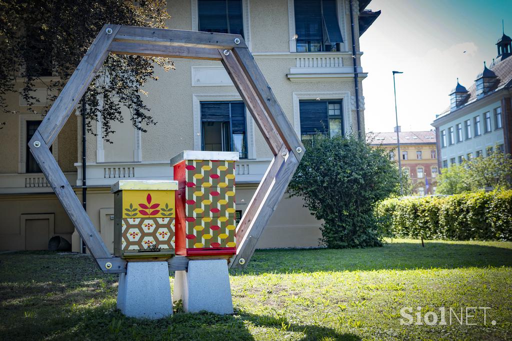 Urbani čebelar Ljubljana