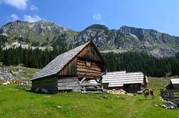 Idilične Fužinske planine in razgledni Ogradi na krožni turi #video