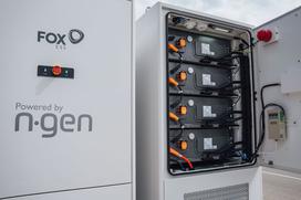 ngen