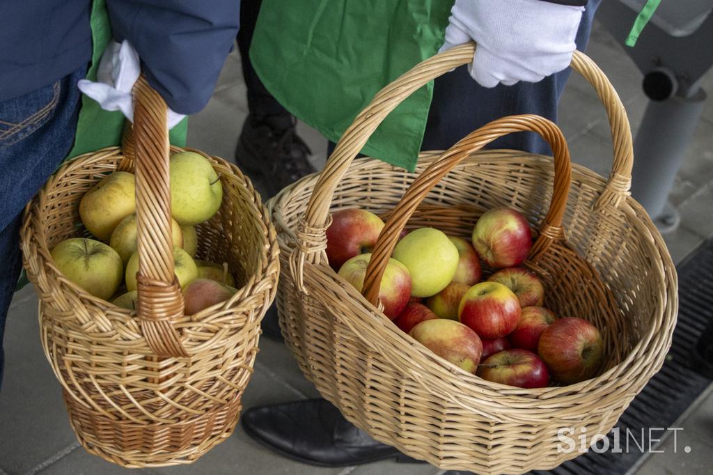 Slovenski zajtrk na vlaku, Slovenske železnice