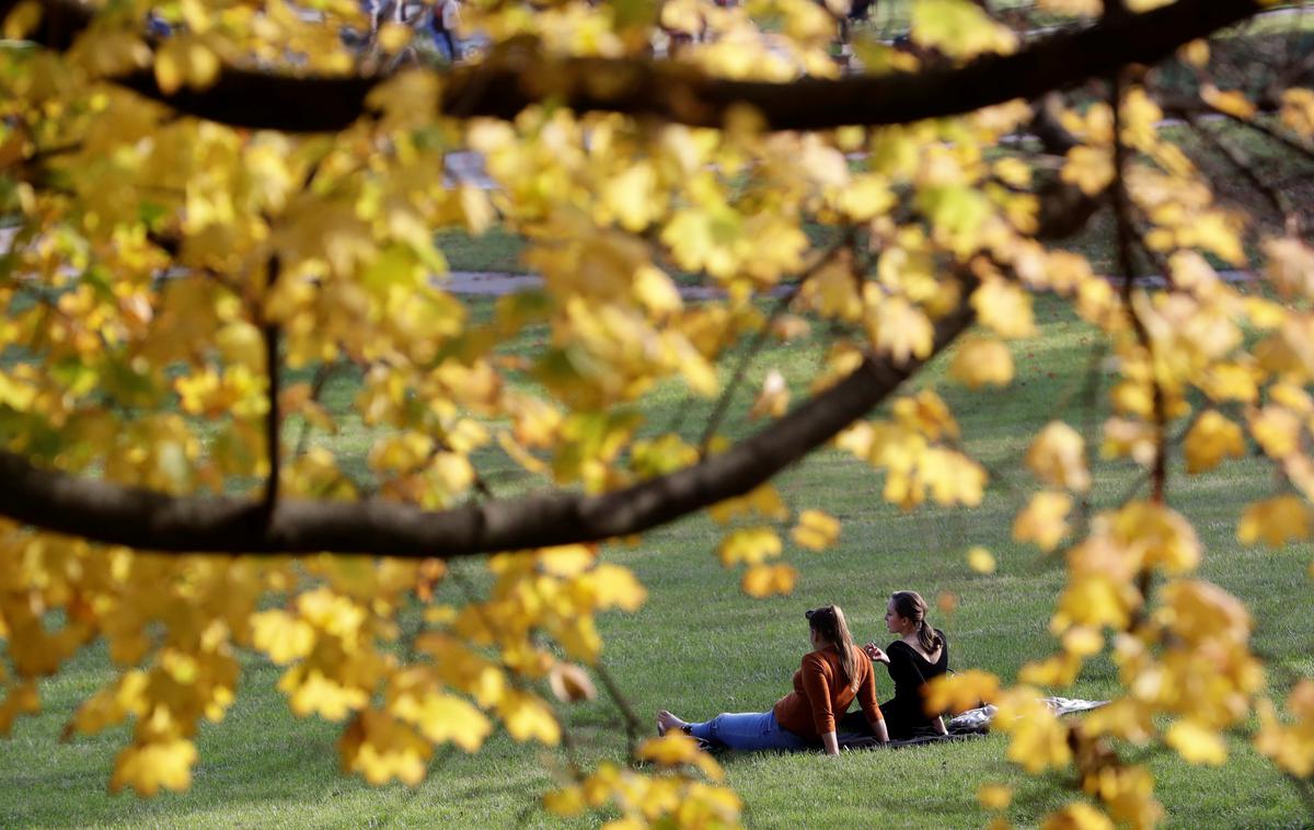 jesen listje | Očitno je čas za zamenjavo oblačil z zimskimi, pred nami pa tudi začetek kurilne sezone.  | Foto Reuters