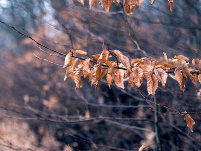 Kratko zatišje: sledi vremenski preobrat