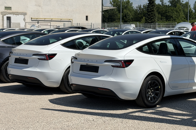 Tesla model 3 | Foto Gregor Pavšič