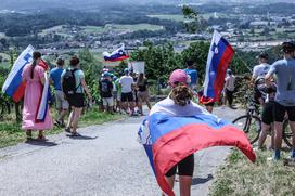 Trška gora